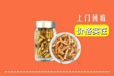 重庆潼南区回收散虫草