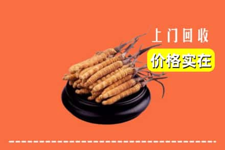 重庆潼南区回收冬虫夏草